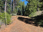 4976 Highway 147